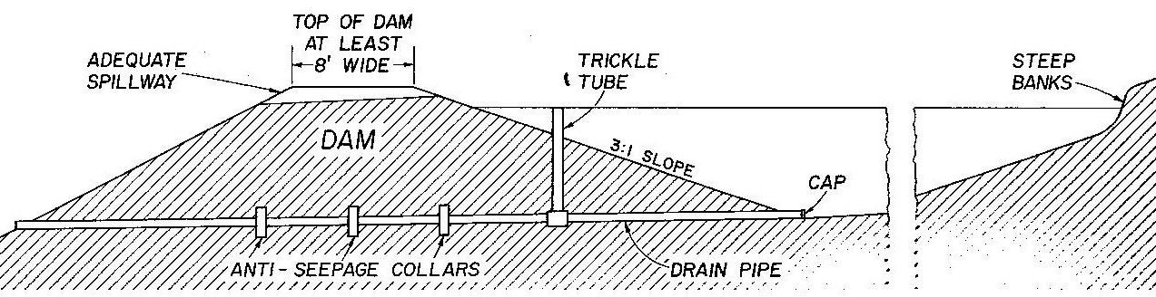 cross-section