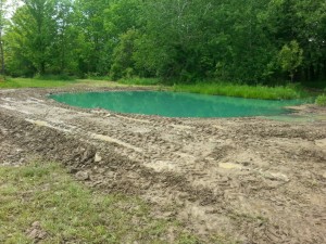 Small Pond with Pond Dye, Bacteria and Heavy Rain 4 baby pond work