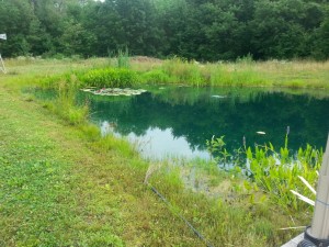 Pond Supplies for Muck and Clarity 5 after WhatPonds products