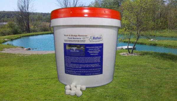 Sludge & Muck Remover 3gram Pellets - Image 2