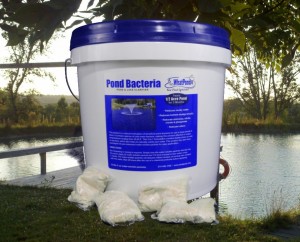 Pond Plans For Spring? 3 12 lbs pond clarifier pond bacteria
