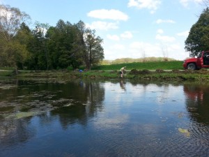 Buying Land with a Pond 2 Hand removal of weeds and algae, same pond as above