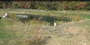 Pond Season Is Almost Over 2 Pond Pants Seasonal Cutting after