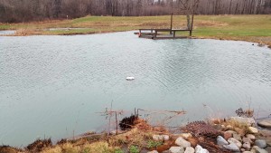 Spring Pond 2016 Continued 1 Spring pond full after storm-pond deck