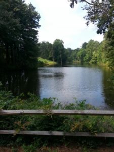 Pond Bottom Diffuser Aerator 4 Pine Valley Golf Club