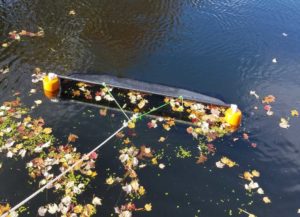 Pond Plans For Spring? 4 deskuzzer 2 leaves and duck weed