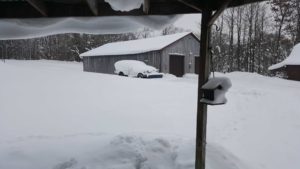 Winter Pond Under Snowmegeddon 2 Snow keeps building 12/31/17