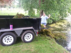 Coontail, Coon Tail Pond Weed 3 cut coontail loading on trailer