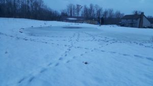 Winter Pond Wildlife 1 Deer Print on the Pond Ice