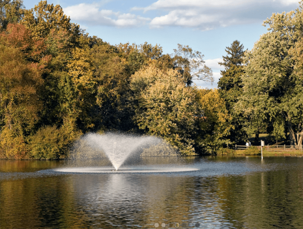 Display Fountains - Image 2