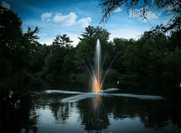 Display Fountain Lighting - Image 13