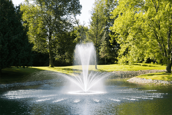 Pond Series 2 HP Fountain - Image 3