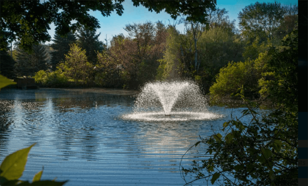 Display Fountains - Image 4