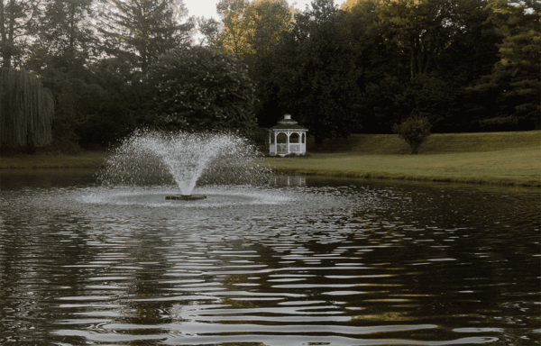 Display Fountains - Image 5