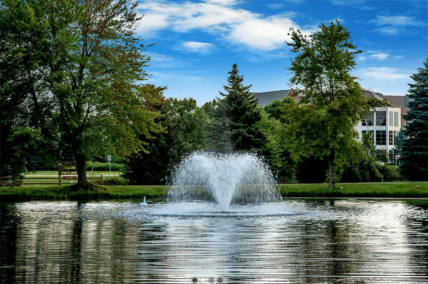 Display Fountains - Image 6